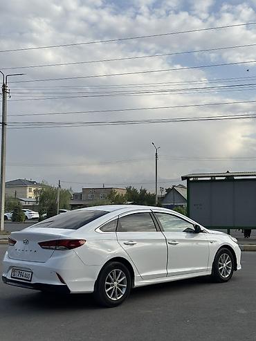sonata dn: Hyundai Sonata: 2019 г., 2 л, Типтроник, Газ, Седан — 4