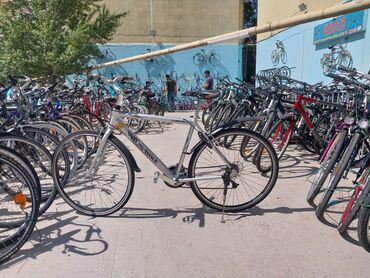 Şəhər velosipedləri: İşlənmiş Şəhər velosipedi 28", sürətlərin sayı: 21, Rayonlara çatdırılma, Ödənişli çatdırılma, Pulsuz çatdırılma — 6