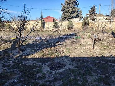 goredil: 15 sot, Tikinti, Maklerlər narahat etməsin, Kupça (Çıxarış) — 5