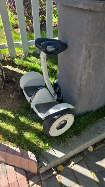 теннисная ракетка настольный: Seegway ninebot Продаю оригинал состояние хорошее покрышки под