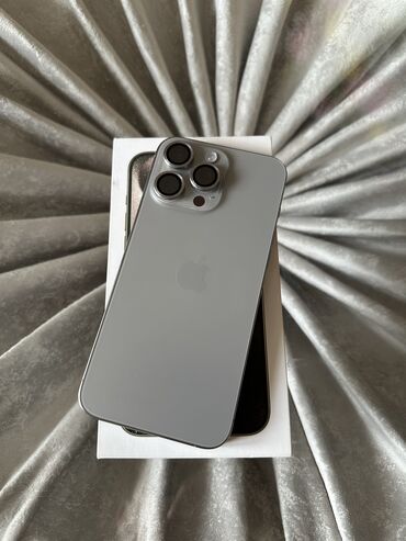 Apple iPhone: IPhone 15 Pro Max, 256 GB, Natural Titanium, Face ID