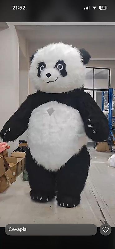 panda paltarı: Şou və tədbirlər üçün nəhəng maskot kostyumları - Müxtəlif — 2
