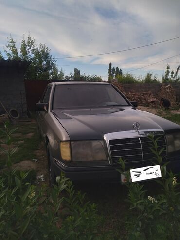 Mercedes-Benz: Mercedes-Benz 230: 1988 г., 2.3 л, Механика, Бензин, Седан