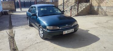 hyundai аксент: Hyundai Accent: 1998 г., 1.5 л, Механика, Бензин, Седан
