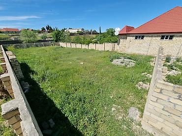 xirdalan abseron city kiraye evler: 6 sot, Tikinti, Mülkiyyətçi, Kupça (Çıxarış), Texniki pasport — 4