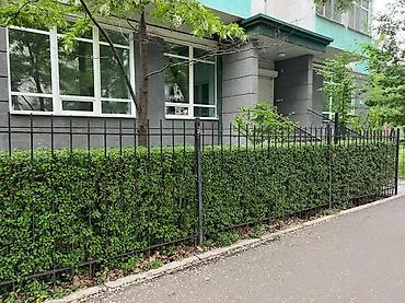 Кеңселерди ижаралоо, 155 м², Турак комплексинде, 1-катар, Өзүнчө санитардык түйүнү менен, Коопсуздук системасы менен lalafo.kg да Кеңселерди ижаралоо, 155 м², Турак комплексинде, 1-катар, Өзүнчө санитардык түйүнү менен, Коопсуздук системасы менен