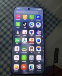 OnePlus: OnePlus 13", 256 GB, rəng - Boz — 17