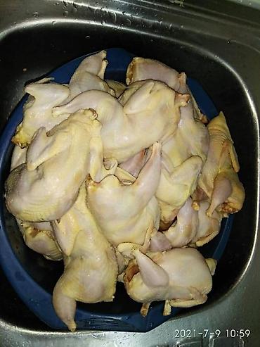 мясо фазана: Перепелиное мясо, вес тушек 300 грамм. Находимся в центре города — 1