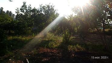 yeni emlak kiraye: 8000 sot, Tikinti, Mülkiyyətçi, Kupça (Çıxarış) — 2