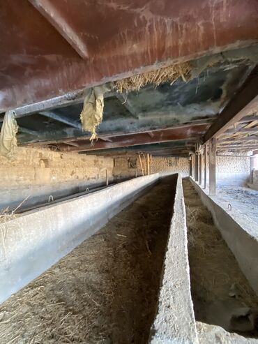 Продажа участков: 20 соток, Для бизнеса, Красная книга, Договор купли-продажи — 10