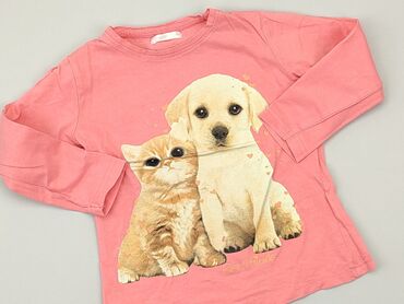 sweterki dziecięce ręcznie robione: Bluza, Pepco, 3-4 lat, 98-104 cm, stan - Dobry