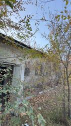 Продажа участков: 30 соток, Для строительства, Красная книга at lalafo.kg — 4 Продажа участков: 30 соток, Для строительства, Красная книга — 4