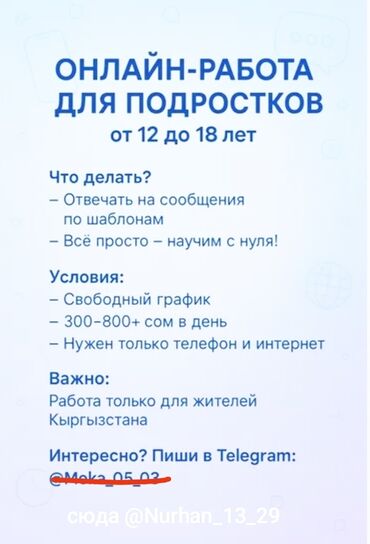 Другие специальности: Предлагается онлайн-работа для подростков в возрасте от 12 до 18 лет