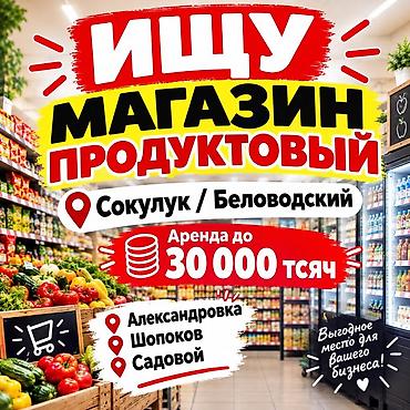 Ищу продуктовый магазин для аренды. Локации: - Сокулук / Беловодский
