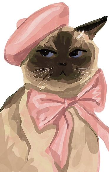 щенка шпиц: Кошка даром: Беспородная, 6 месяцев, Мальчик — 2