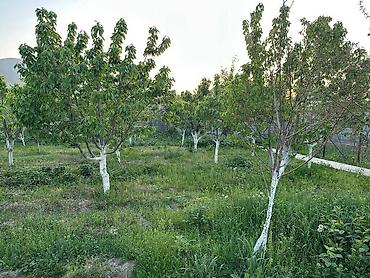 Продажа домов: Дом, 150 м², 4 комнаты — 10