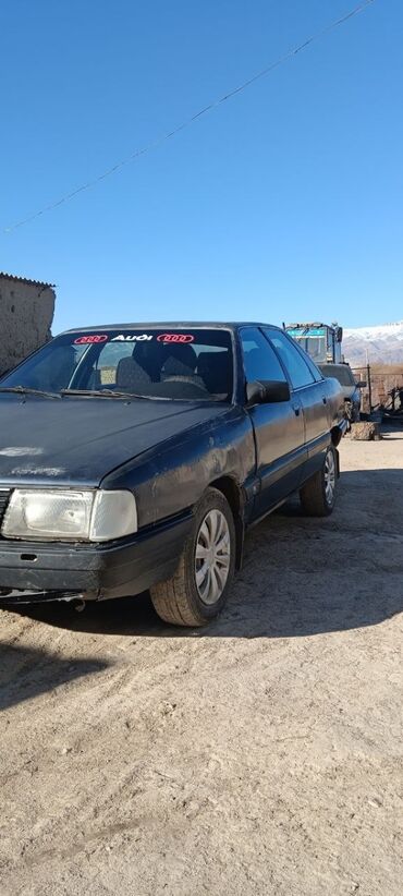 на поджеро 2: Audi 100: 1989 г., 2 л, Механика, Бензин