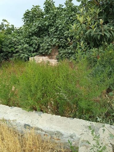 аренда квартир в баку 2 комнатные: 2 sot, Tikinti, Mülkiyyətçi