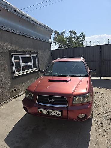 низкопрофильная: Subaru Forester: 2003 г., Автомат, Бензин, Кроссовер — 2