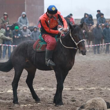 Спортивная форма: Форма кок бору 🔥 озунуз каалагандай формаларга буйрутма бериниз — 14
