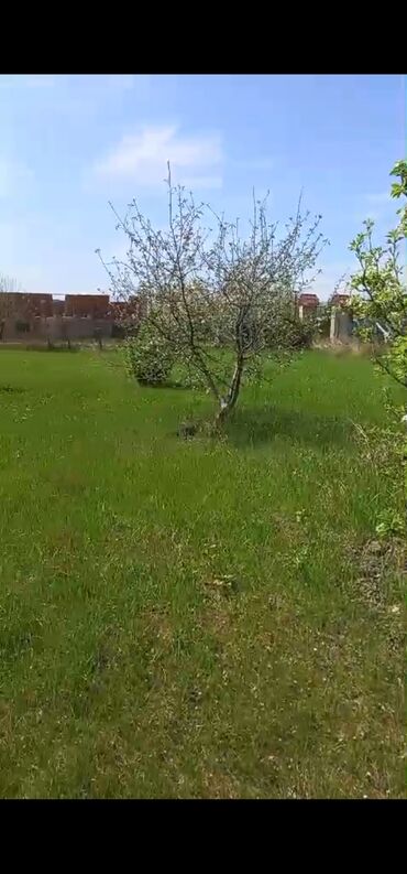 Torpaq sahələrinin satışı: 8 sot, Kənd təsərrüfatı, Mülkiyyətçi, Bələdiyyə -da lalafo.az — 6 Torpaq sahələrinin satışı: 8 sot, Kənd təsərrüfatı, Mülkiyyətçi, Bələdiyyə — 6