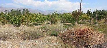 Продажа участков: 13 соток, Красная книга — 9