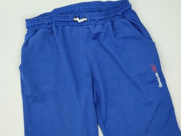ccc sandaly na koturnie lasocki: Reebok, Shorts for men, size 2XL (EU 44)