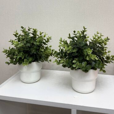 семена кукуруза маями: IKEA Душица Искусственное растение в горшке 9х22х9 см + кашпо IKEA
