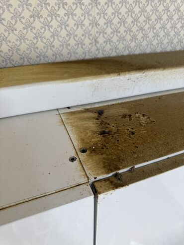 Уборка помещений: Уборка помещений, | Генеральная уборка, Уборка после ремонта, Уборка раз в неделю, | Офисы, Квартиры, Дома — 28