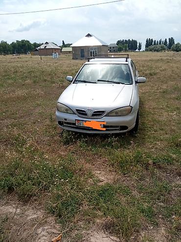 argb controller: Nissan Primera: 2000 г., 1.8 л, Механика, Седан — 1