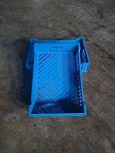 Digər mağaza avadanlığı: Plastik yeşik(tara,sebet,yesik,qutu) istehsalı. ölçülər 60/40/10sm — 10