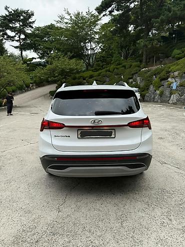 мос двух скат: Hyundai Santa Fe: 2020 г., 2.2 л, Автомат, Дизель, Кроссовер — 6