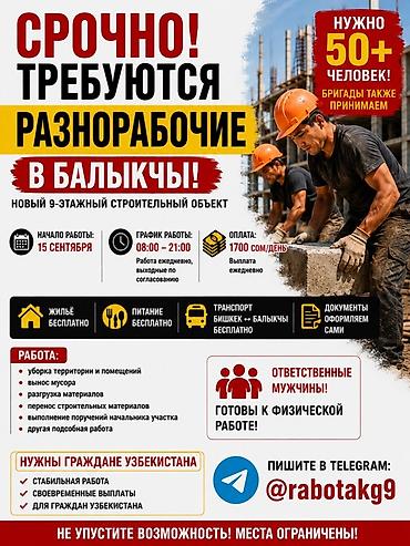 начальник: Требуется Разнорабочий, Оплата: Ежедневно — 2