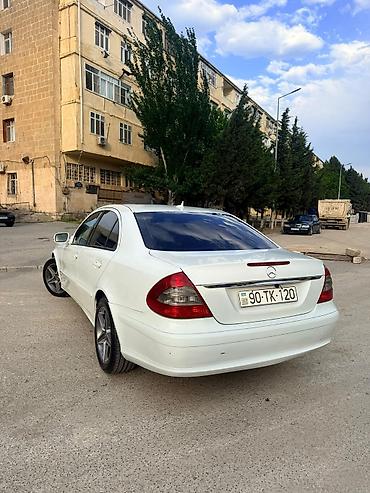 Mercedes-Benz: Mercedes-Benz E-Class: 2.2 l | 2007 il Sedan — 9
