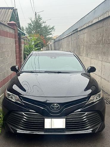 highlander 2012: Toyota Camry: 2019 г., Автомат, Бензин, Седан — 1