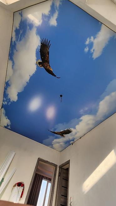 Натяжной потолок: Натяжной потолок Глянцевое, Матовое, 3D потолки at lalafo.kg — 12 Натяжной потолок: Натяжной потолок Глянцевое, Матовое, 3D потолки — 12