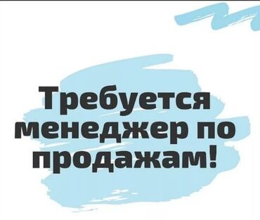 менеджер и предприниматель: Менеджер по продажам. Юг-2 мкр