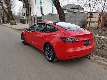 Tesla: Tesla Model 3: 2021 г., Автомат, Электромобиль, Седан — 4