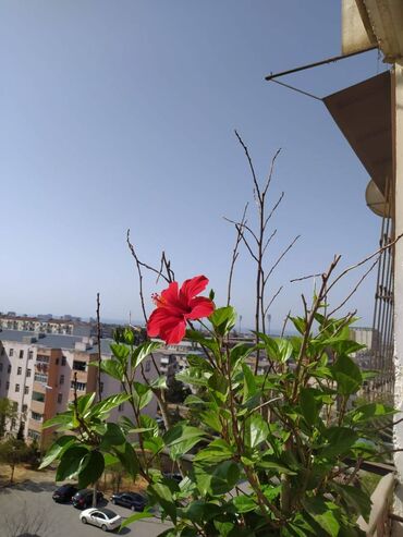 Köhnə tikili: Bakı, 3 otaqlı, Köhnə tikili, m. Neftçilər, 90 kv. m — 21