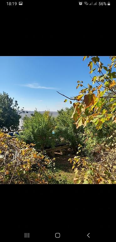 bina.az english: 5 otaqlı, 180 kv. m, Orta təmir — 1