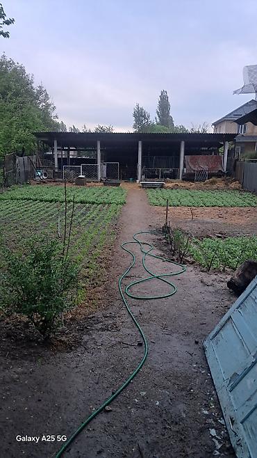 ысык куле: Продаю дом в селе Ново покровка, Ысык Атинский район по первой линий — 3