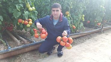 Удобрения и садовая химия: Удобрение Самовывоз — 14