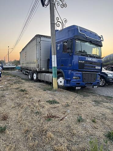 385 55: Тягач, DAF, 2003 г., Без прицепа — 7