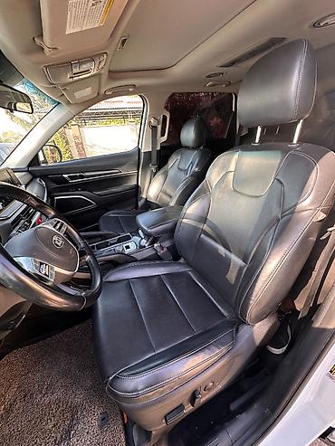 аналог: Kia Telluride: 2019 г., 3.8 л, Автомат, Бензин, Кроссовер — 9