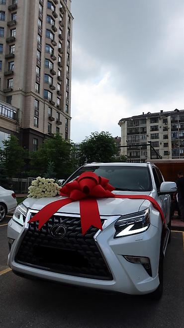 бантики для машины: Большие подарочные банты для автомобилей Большие праздничные банты — 3