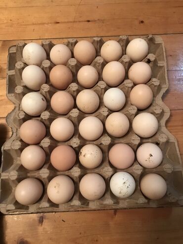 Yumurta: Teze rengli toyuqlarin mayali yumurtalari satilir 0.25