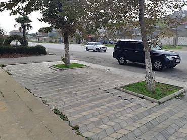 İcarəyə restoran və kafelər: “Karvan Restoran” – restoran obyekti - Fəaliyyət sahəsi: ictimai — 13