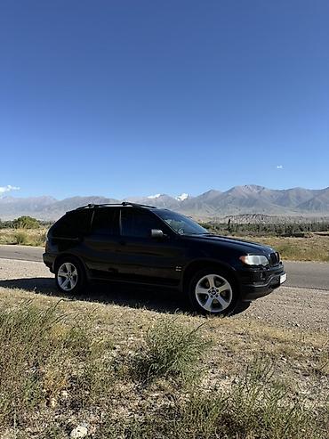 бу чехол: BMW X5: 2002 г., 4.4 л, Автомат, Бензин, Кроссовер — 1