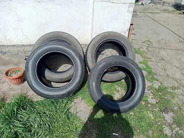 купить диски r15 4*108: Шиналар 205 / 65 / R 16, Жай, Колдонулган, Комплект, Жеңил унаалар, Кытай, Annaite