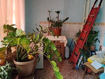 жылой вагон: 📍 ЛОКАЦИЯ: с. Панфиловское (НЕ Каинды!) Дом с участком и — 10